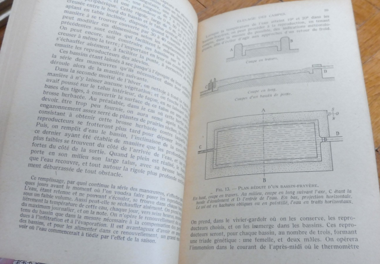 Manuel de pisciculture (Louis Roule) 1932