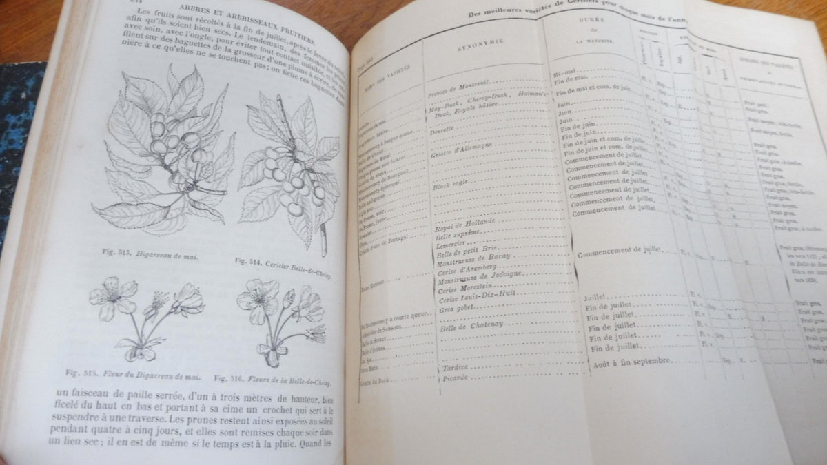 Cours d'arboriculture (M. A. Du Breuil) 1854 2/2