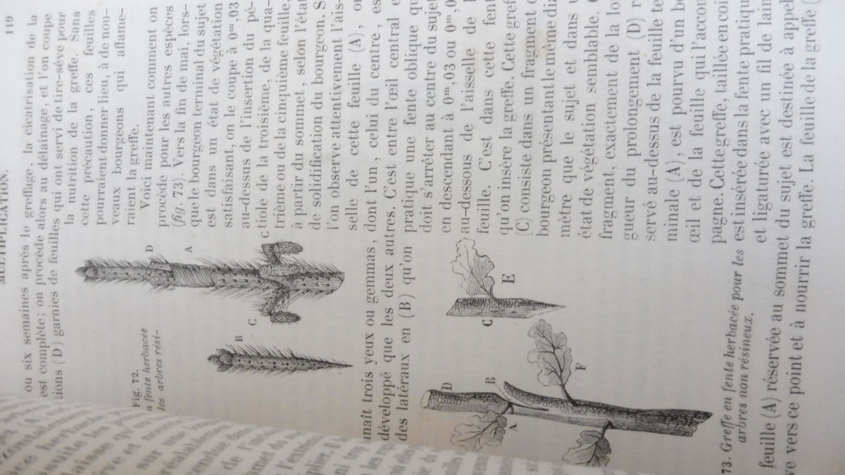Cours d'arboriculture (M. A. Du Breuil) 1854 2/2