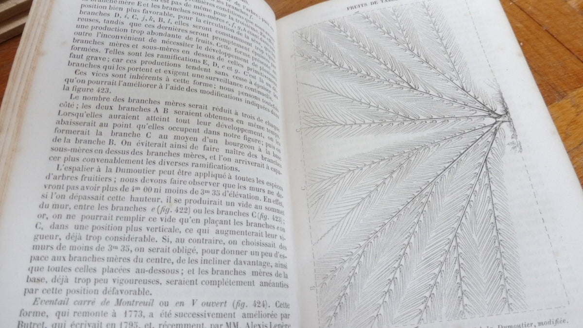 Cours d'arboriculture (M. A. Du Breuil) 1854 2/2