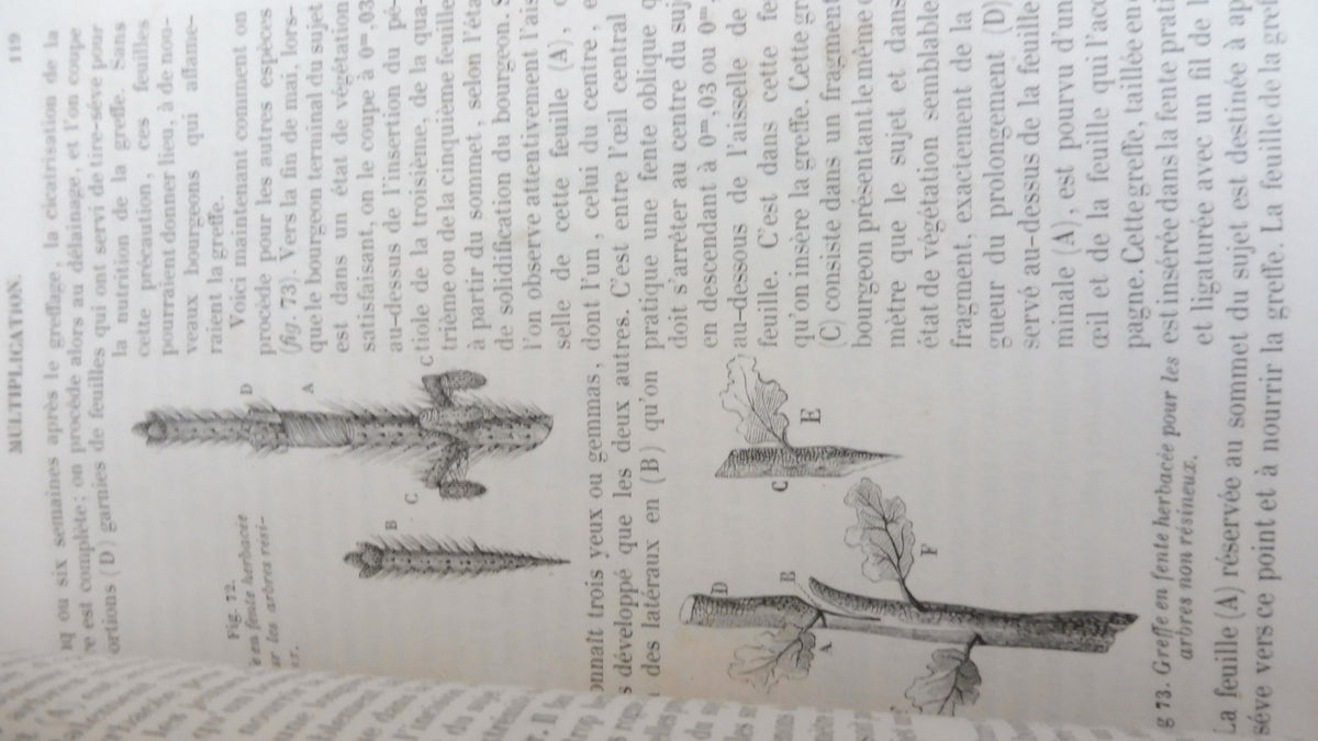 Cours d'arboriculture (M. A. Du Breuil) 1854 2/2