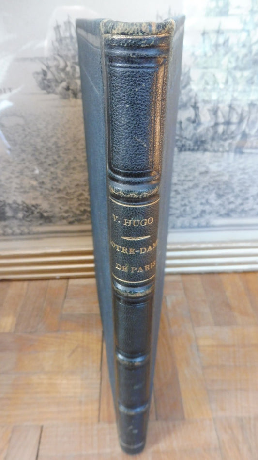 Notre-Dame de Paris (Victor Hugo) 1876 illus. Brion