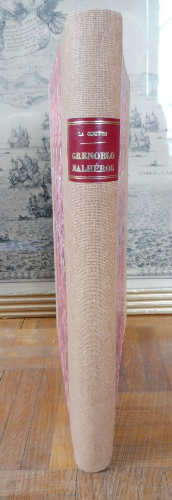 Grenoblo Malhérou (Blanc dit La Goutte) 1864 illus. Rahoult, Dardelet DAUPHINE
