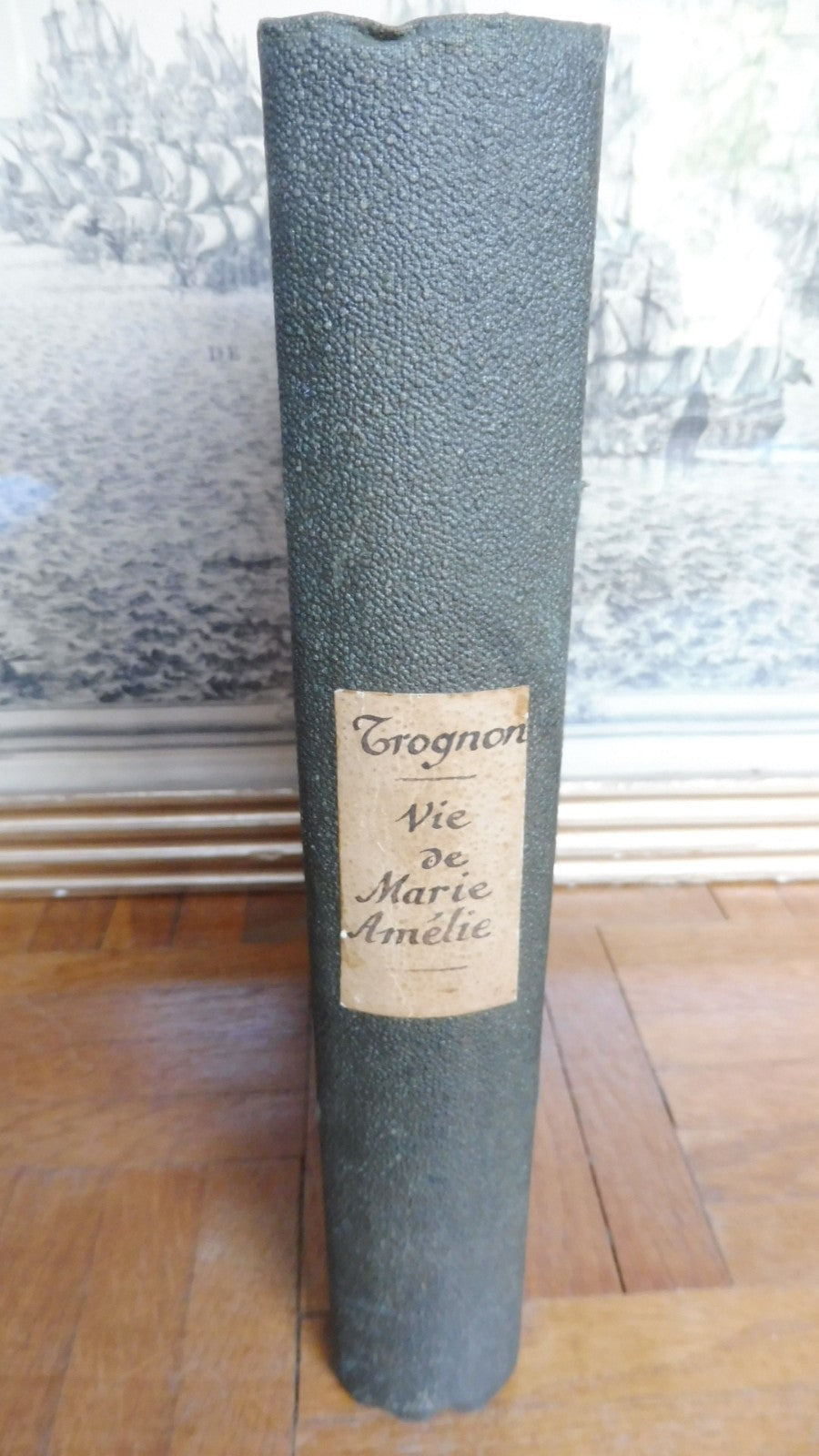 Vie de Marie-Amélie, reine des Français (Auguste Trognon) 1871