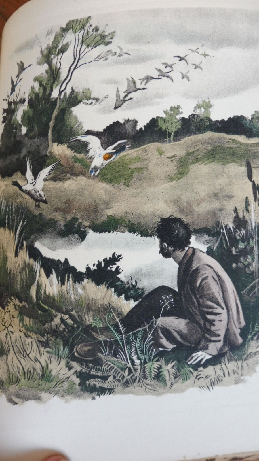 Raboliot (Maurice Genevoix) 1941 illus. Gandon