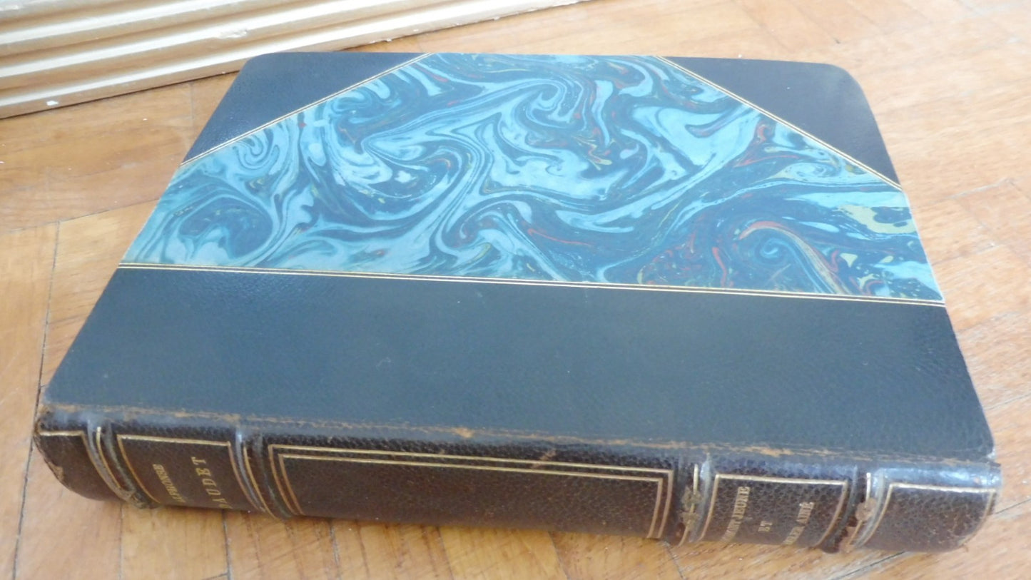 Fromont jeune et Risler aîné (Alphonse Daudet) 1924 illus. Armand VELIN