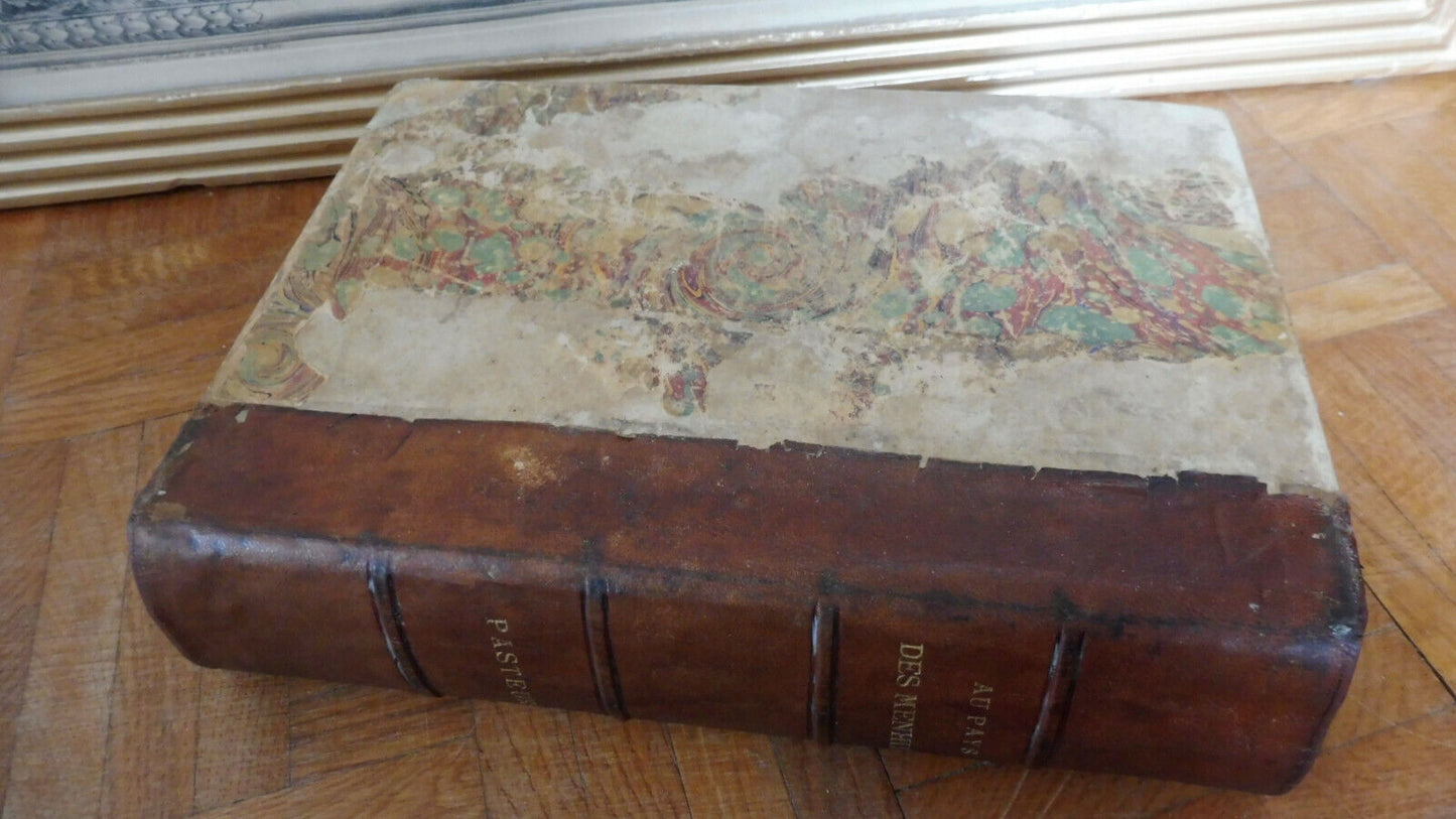 Au Pays des menhirs + Pasteur, sa vie, son oeuvre (L. Ville et F. Bournand) s.d.