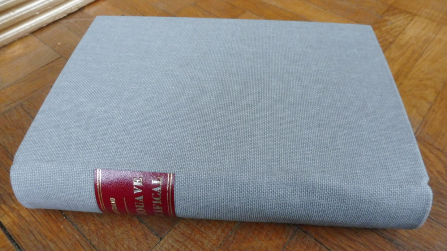 Le Zouave pontifical (Bresciani) 1862