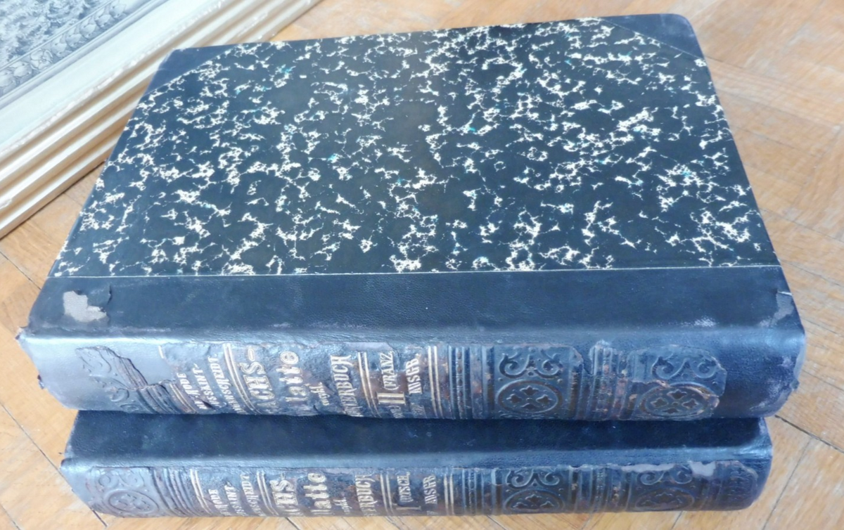 Sachs Villatte encyclopädisches Wörterbuck 1887 2/2