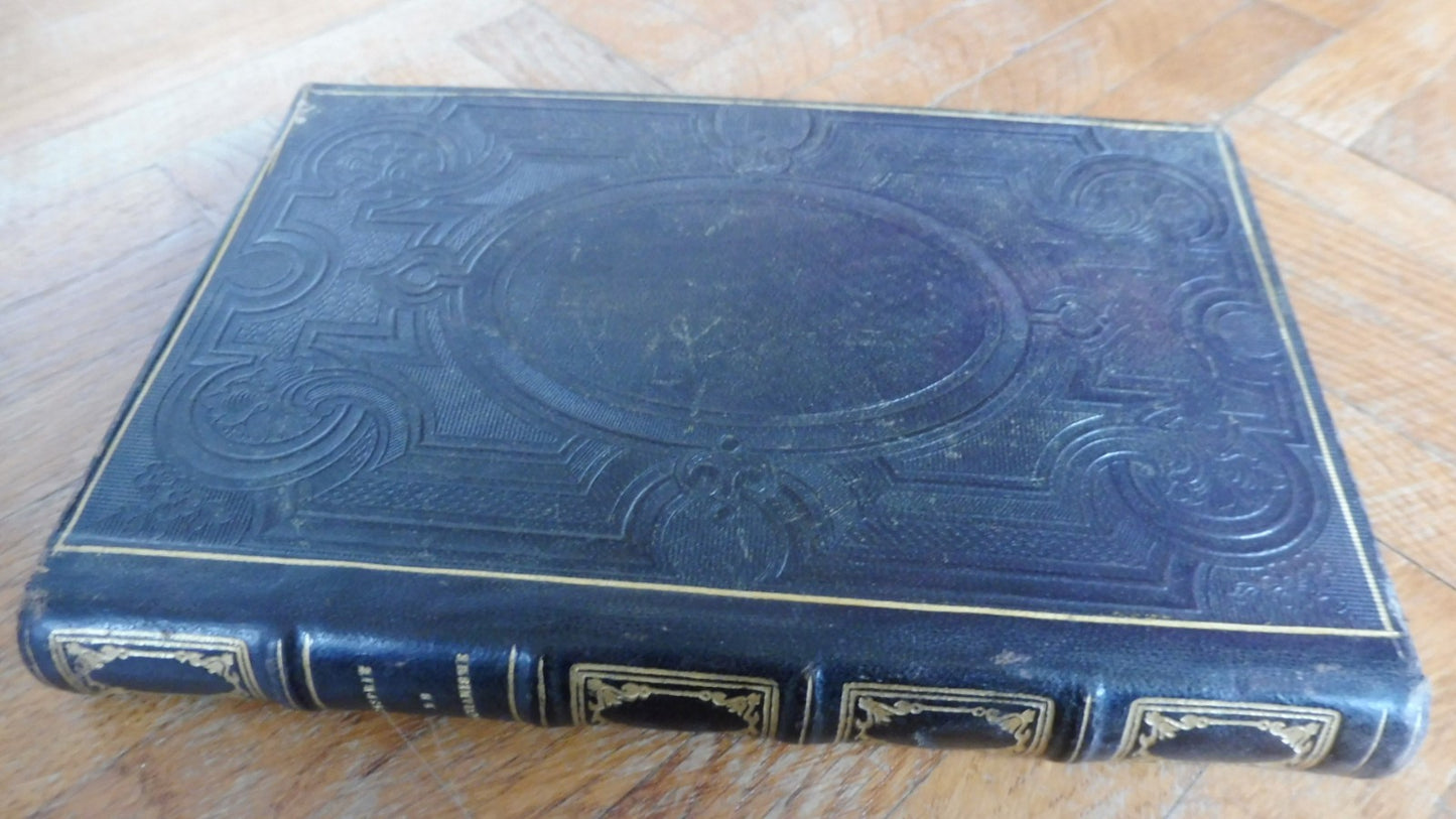 L'Esprit du Christianisme (Nepveu) 1858