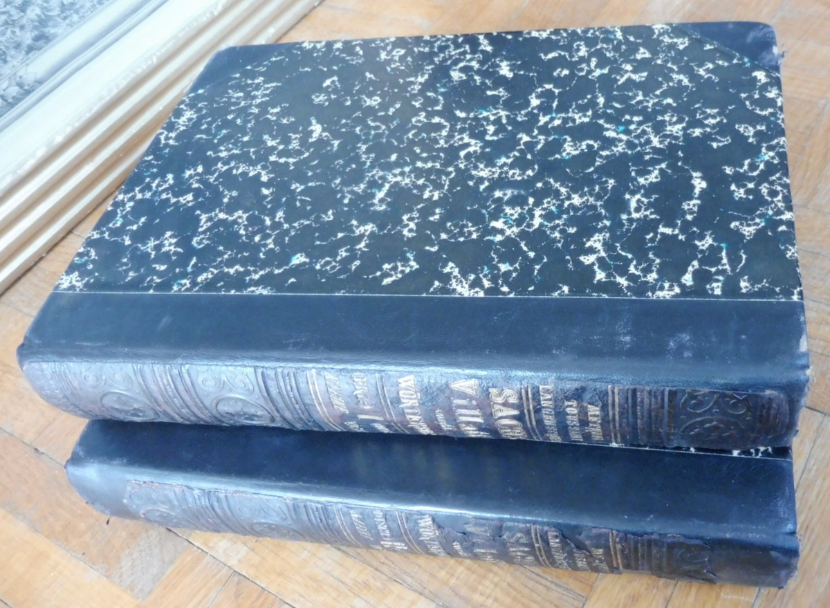 Sachs Villatte encyclopädisches Wörterbuck 1887 2/2