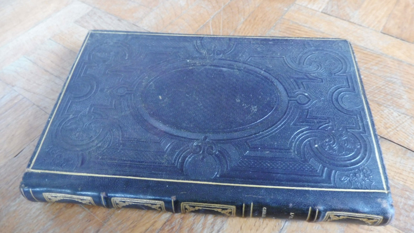 L'Esprit du Christianisme (Nepveu) 1858