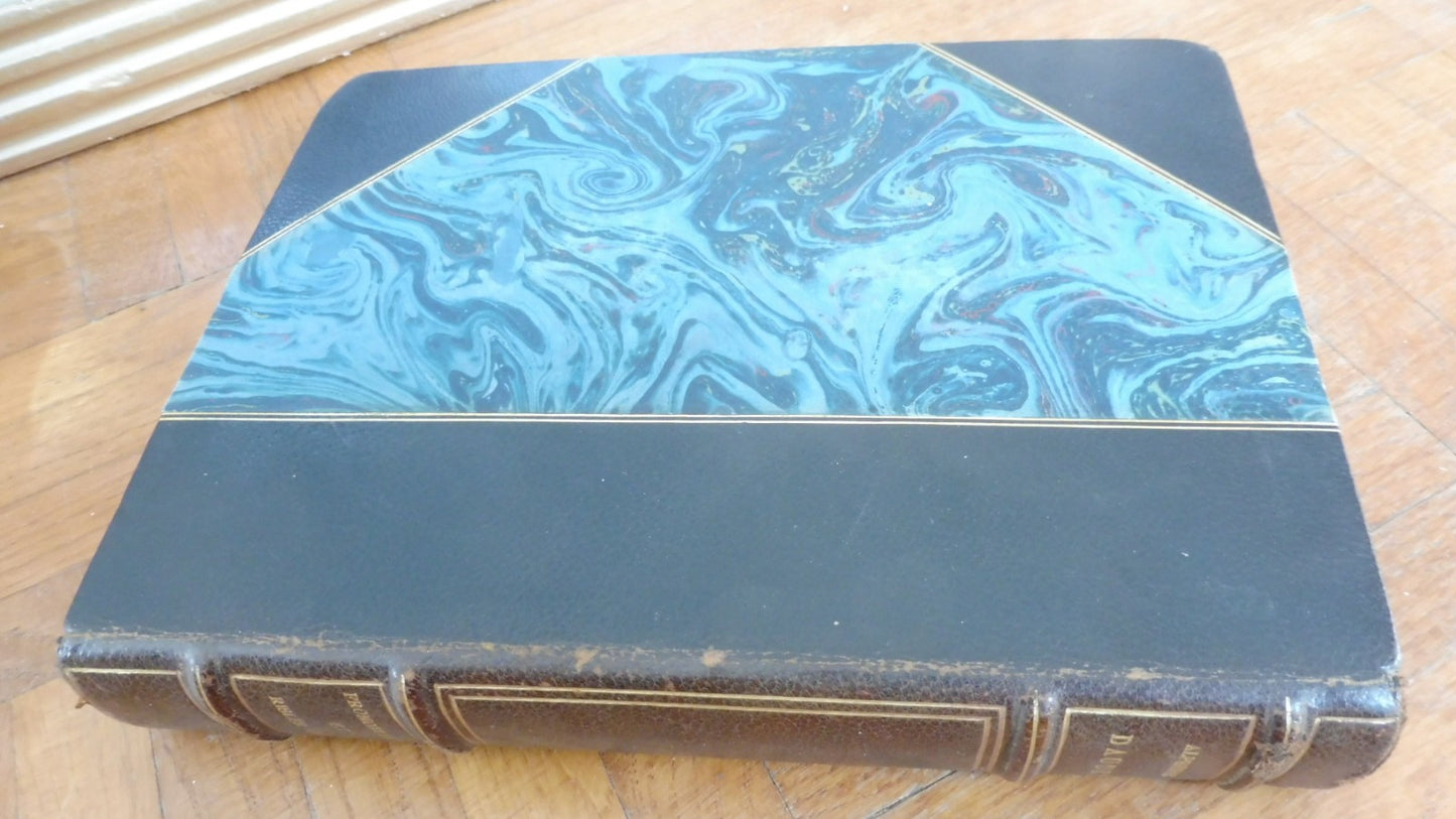 Fromont jeune et Risler aîné (Alphonse Daudet) 1924 illus. Armand VELIN