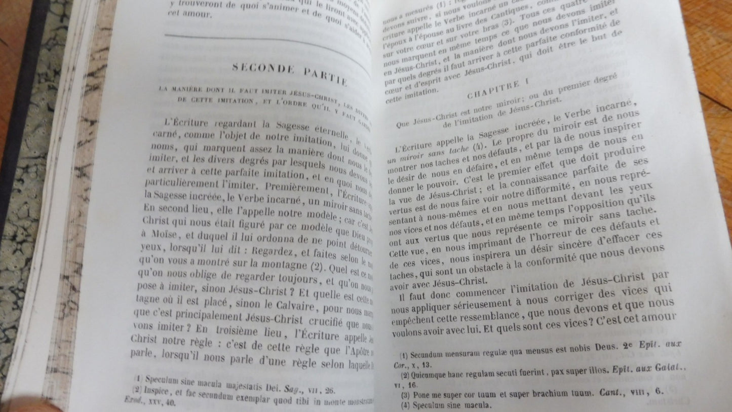 L'Esprit du Christianisme (Nepveu) 1858