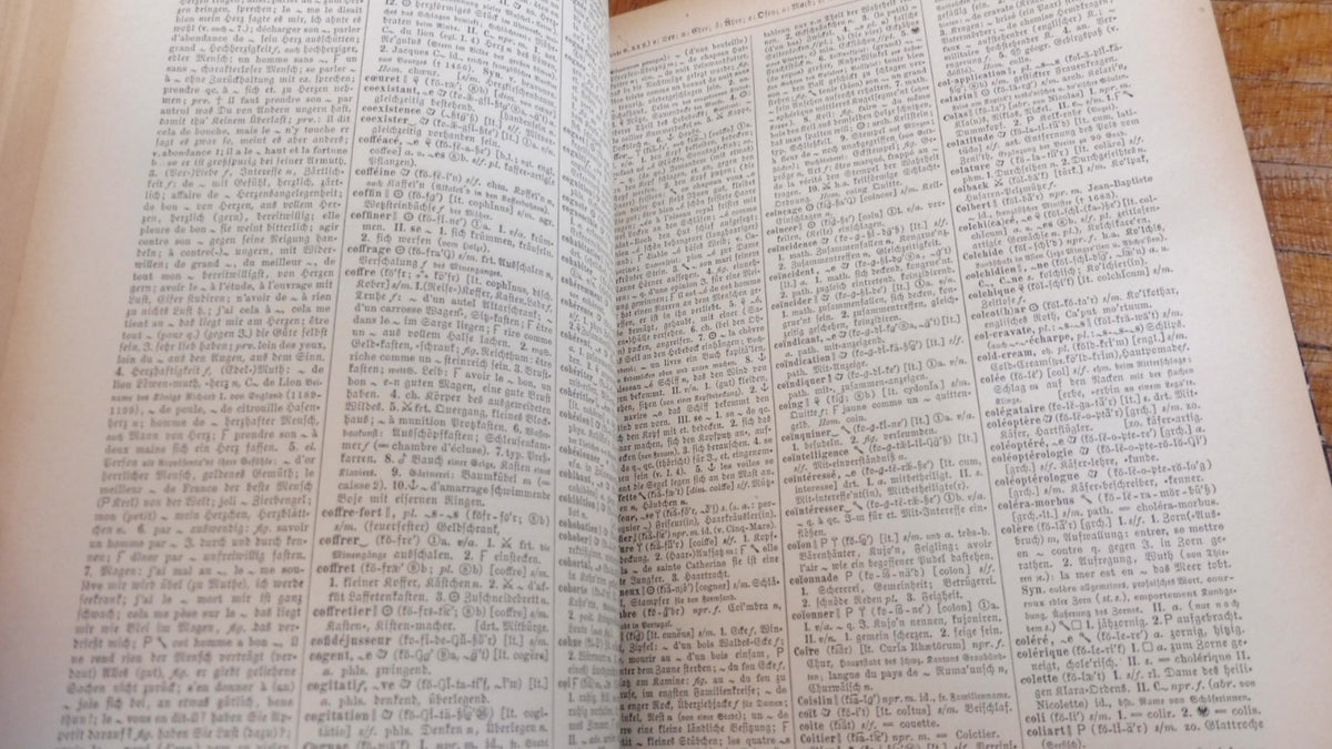 Sachs Villatte encyclopädisches Wörterbuck 1887 2/2
