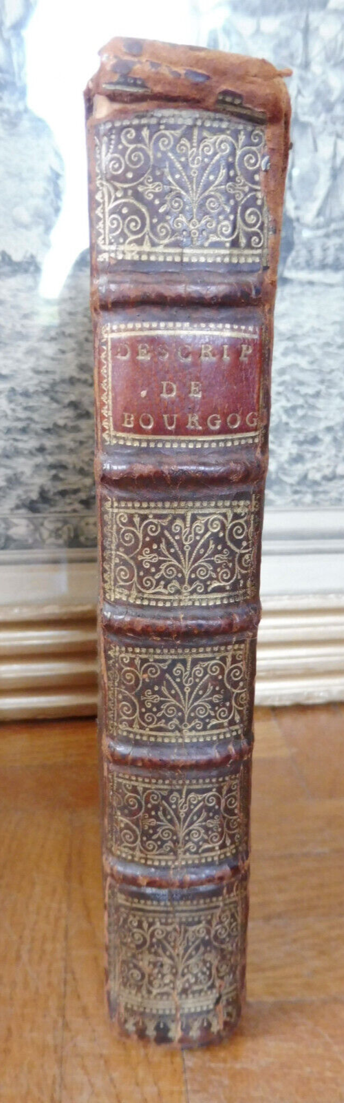 Description du gouvernement de Bourgogne (Garreau) 1717
