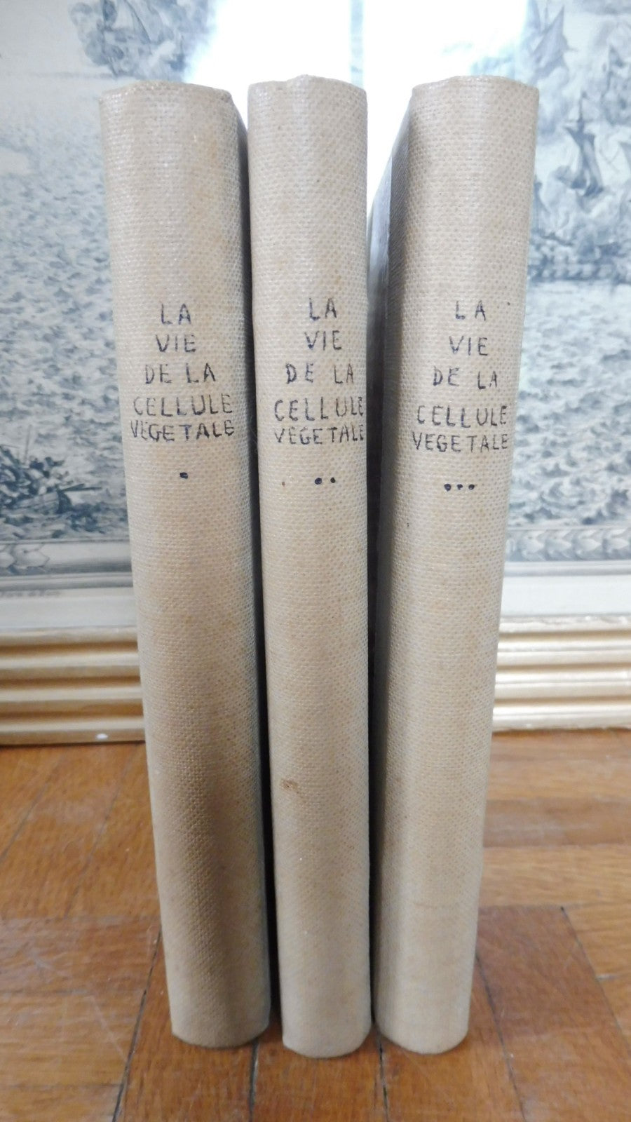 La Vie de la cellule végétale (Raoul Combes) 1937 3 vol.