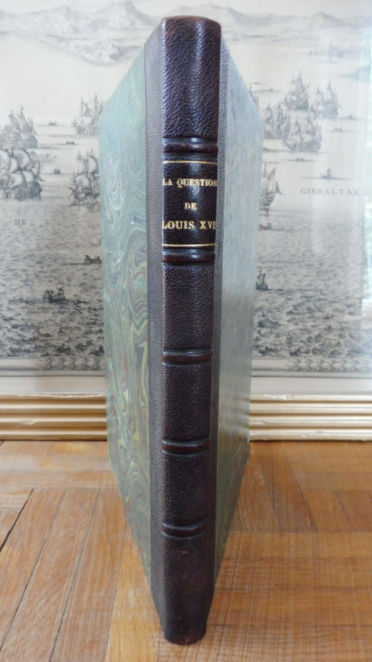 La Question de Louis XVII (Otto Friedrichs) 1900
