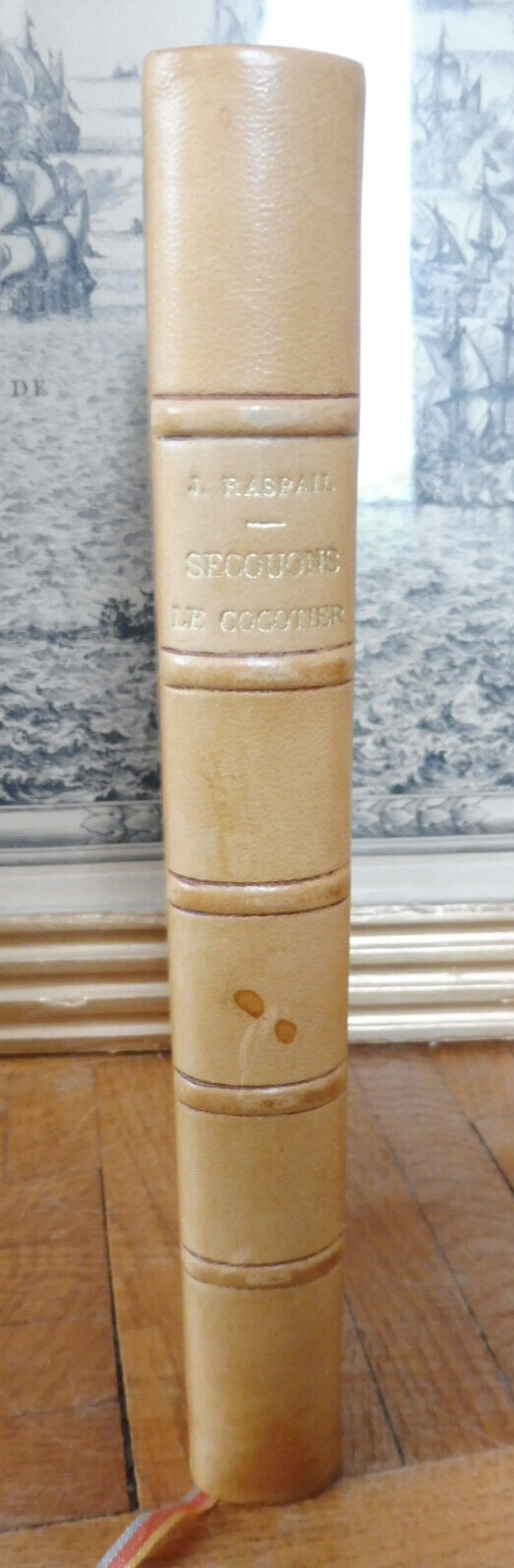 Secouons le cocotier (Jean Raspail) 1971
