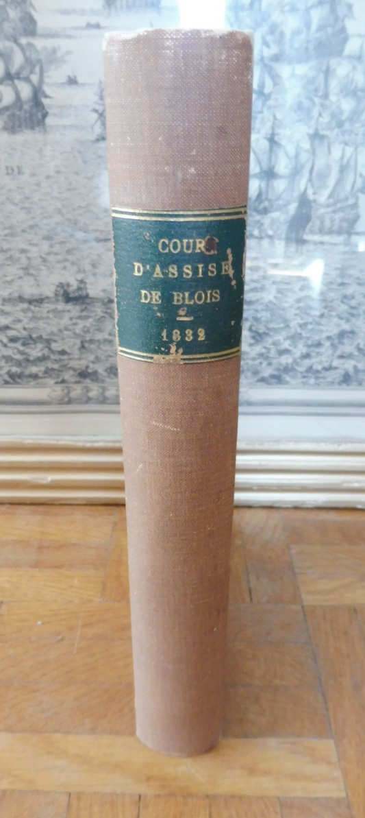 Affaires relatives aux Troubles de l'Ouest. Cour d'assise de Blois. Nov. 1832