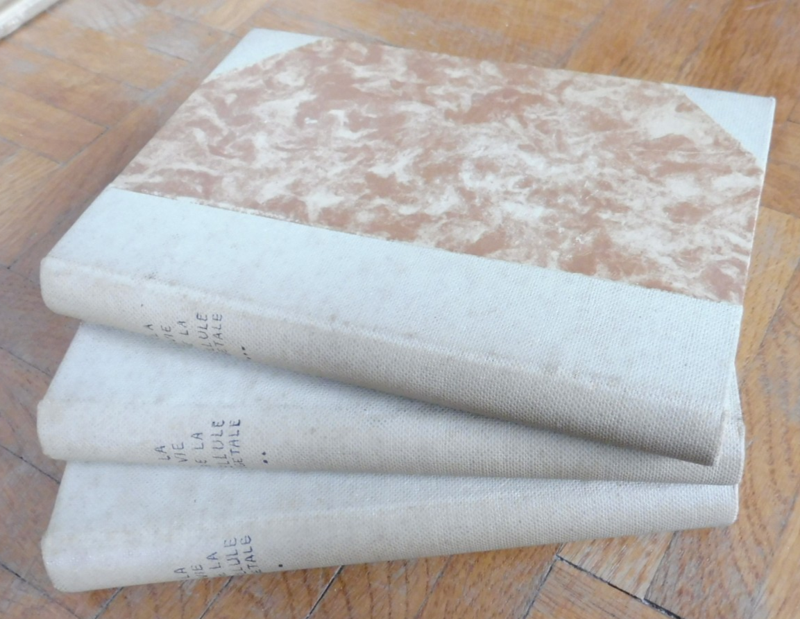 La Vie de la cellule végétale (Raoul Combes) 1937 3 vol.