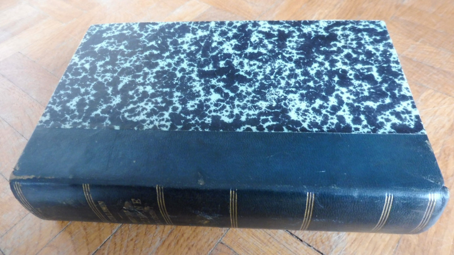 Histoire ancienne de l'Orient (J. J. Guillemin) 1869