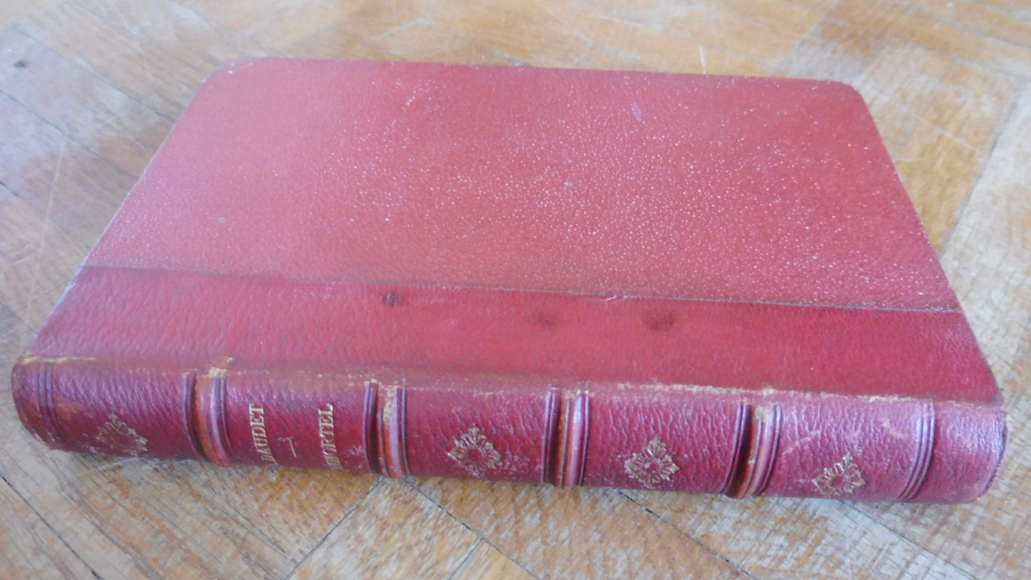 L'Immortel (Alphonse Daudet) 1888 EDITION ORIGINALE EO