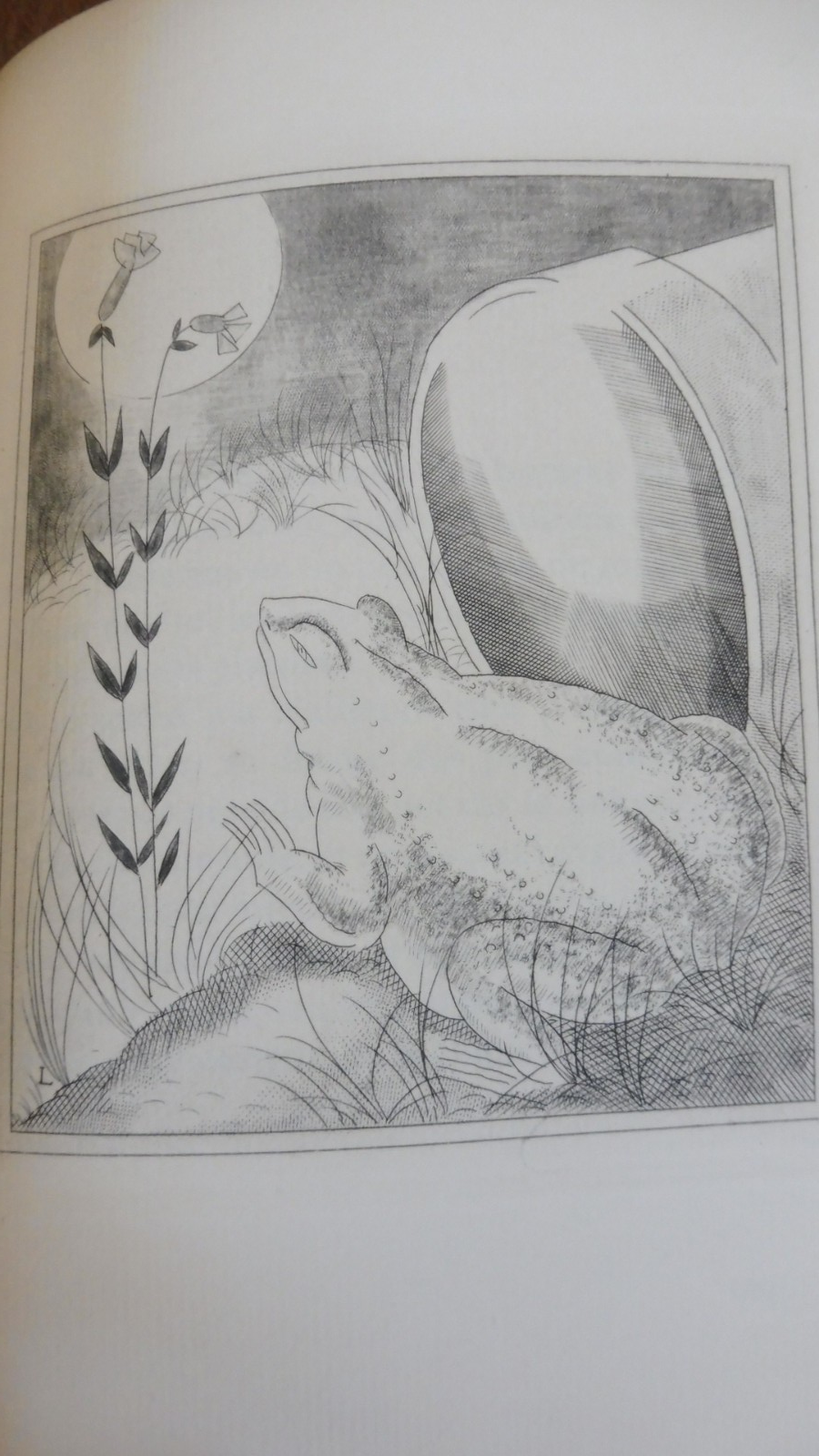 Pages à mon goût (Gilbert De Voisins) 1929 Illus. Laboureur VELIN EO