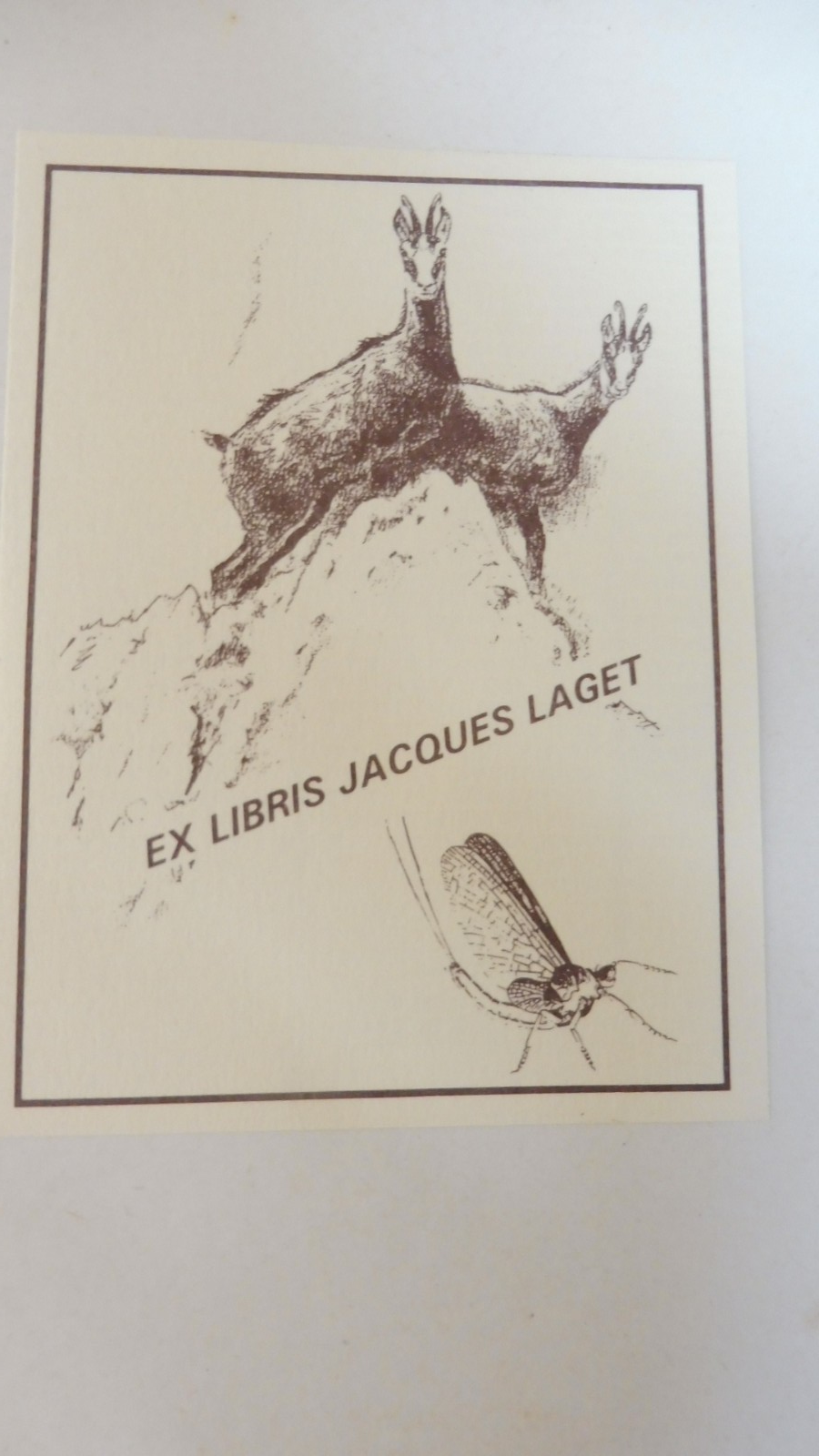 Lettres à Panizzi 1850-1870 (Prosper Mérimée) 1881 EO