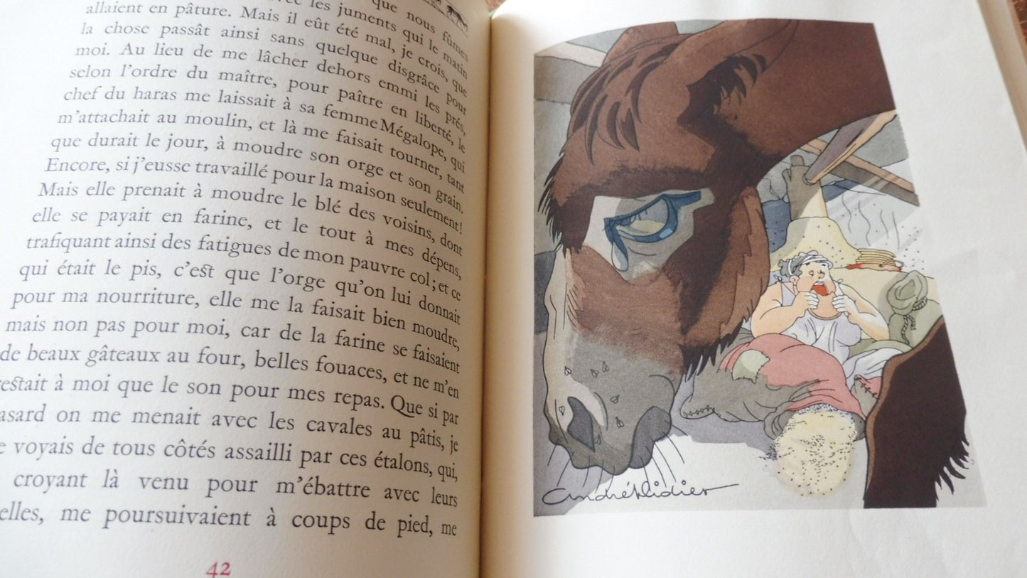 L'âne (Lucius) 1946 illus. Didier NUMEROTE VELIN