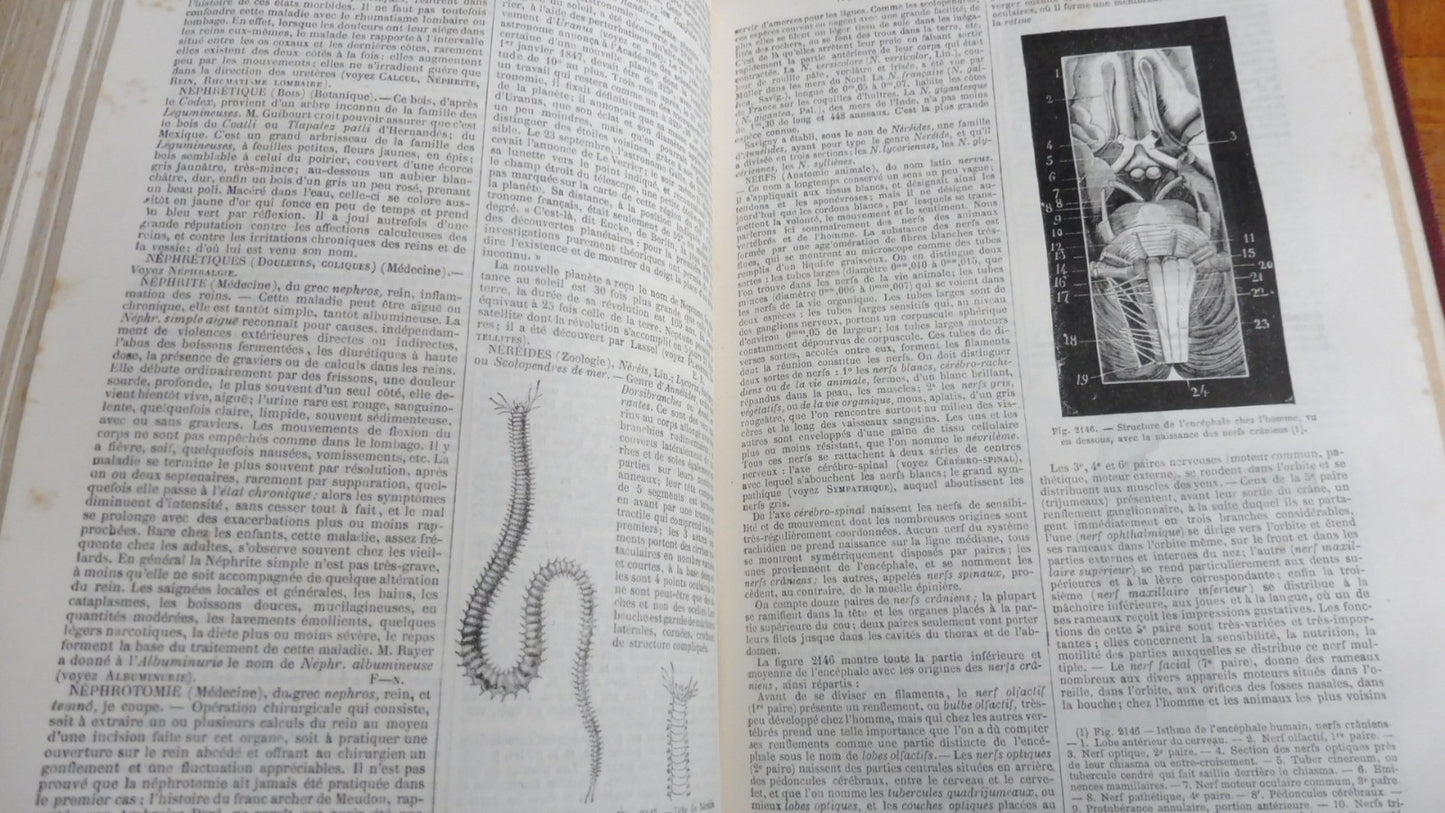 Dictionnaire général des sciences théoriques appliquées (Privat-Deschanel) 1877