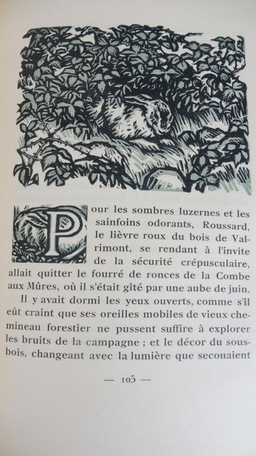 De Goupil à Margot (Louis Pergaud) 1928 illus. Barthelemy MORNAY RIVES