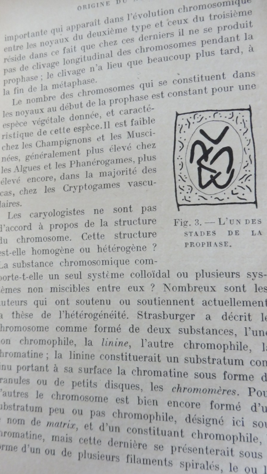 La Vie de la cellule végétale (Raoul Combes) 1937 3 vol.