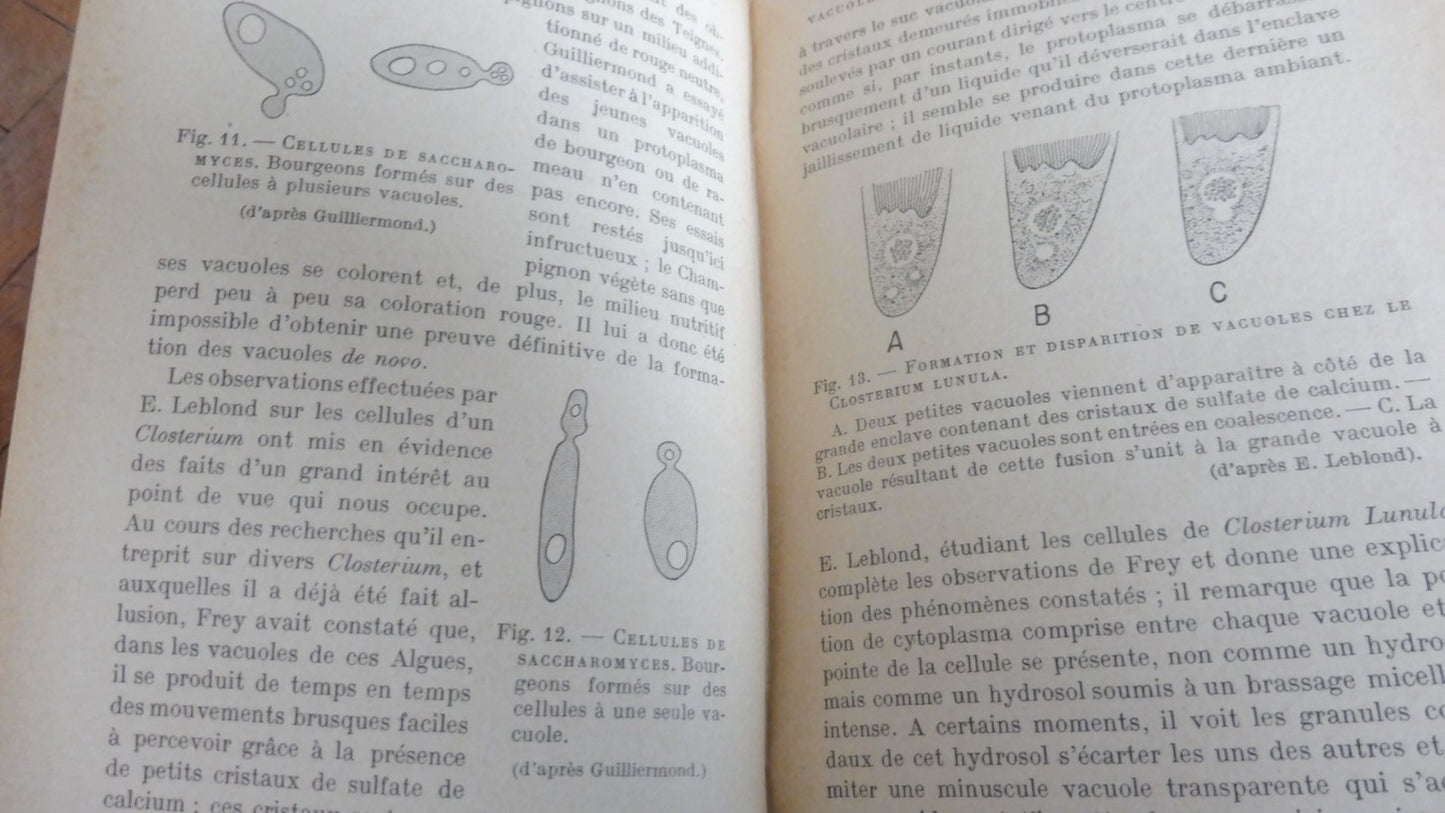 La Vie de la cellule végétale (Raoul Combes) 1937 3 vol.