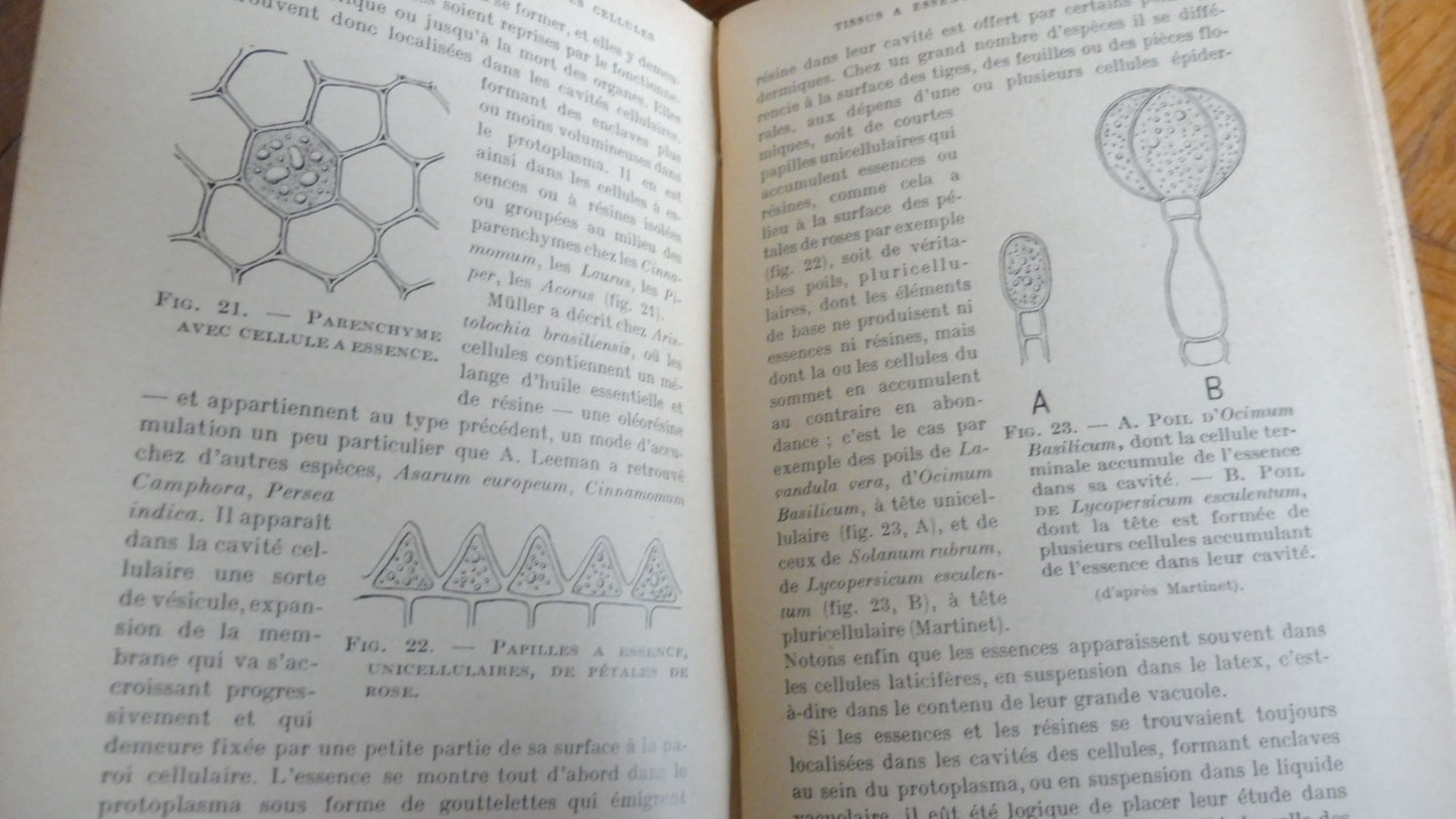 La Vie de la cellule végétale (Raoul Combes) 1937 3 vol.