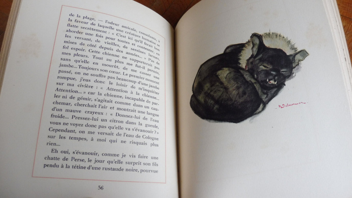 Affaires de coeur (Hermant, Bonnard, Colette, Morand) 1934 illus. David...