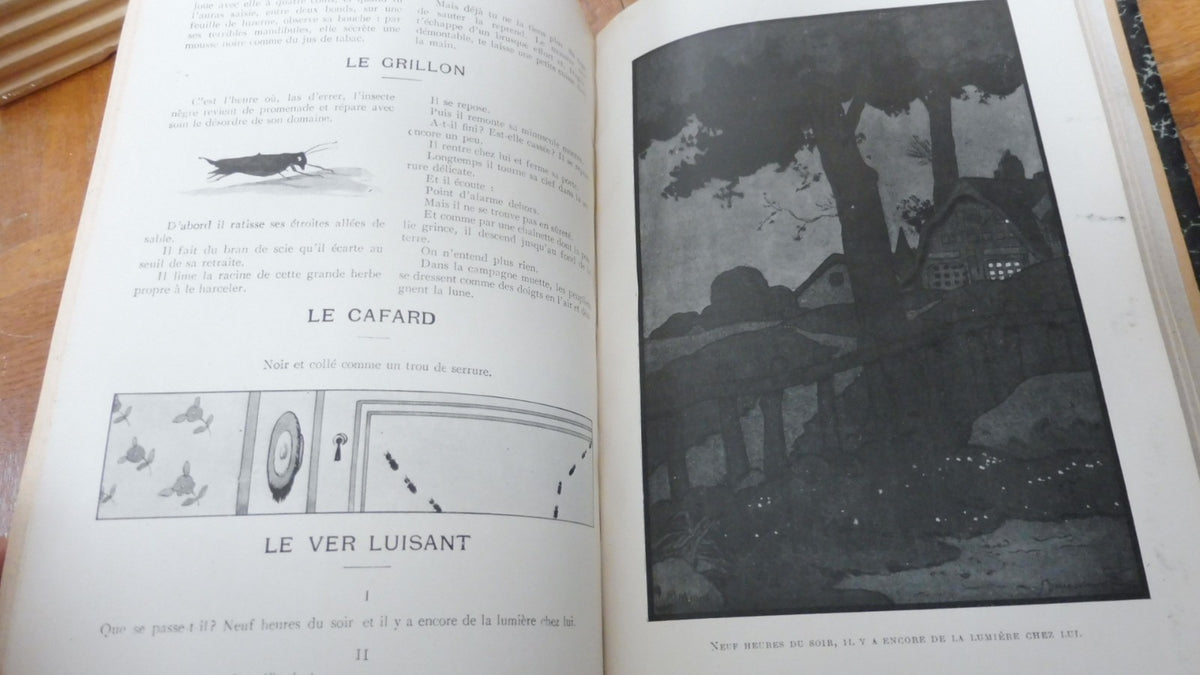 Romans de Jules Renard s.d. 3 vol. en 1 tome.
