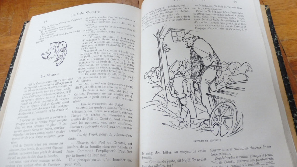 Romans de Jules Renard s.d. 3 vol. en 1 tome.