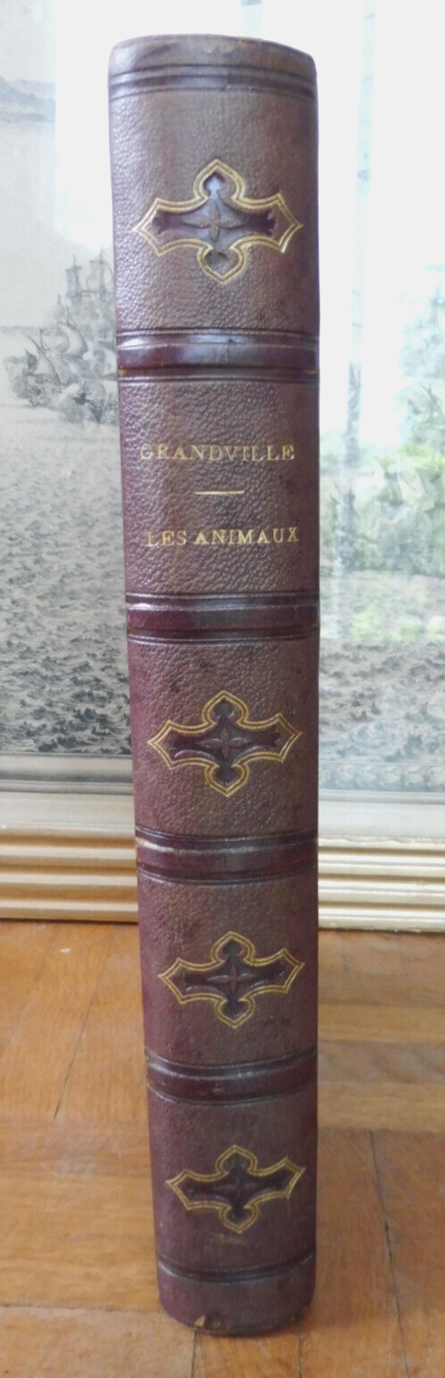 Vie privée et publique des animaux (Grandville) 1867