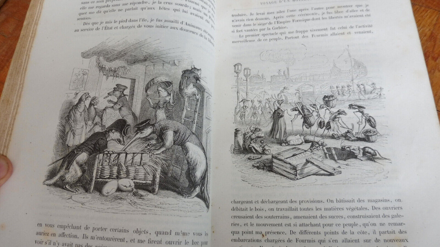 Vie privée et publique des animaux (Grandville) 1867