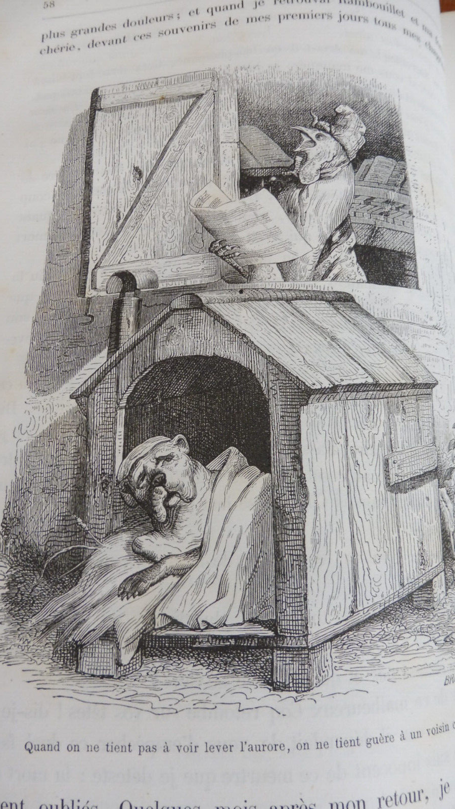 Vie privée et publique des animaux (Grandville) 1867