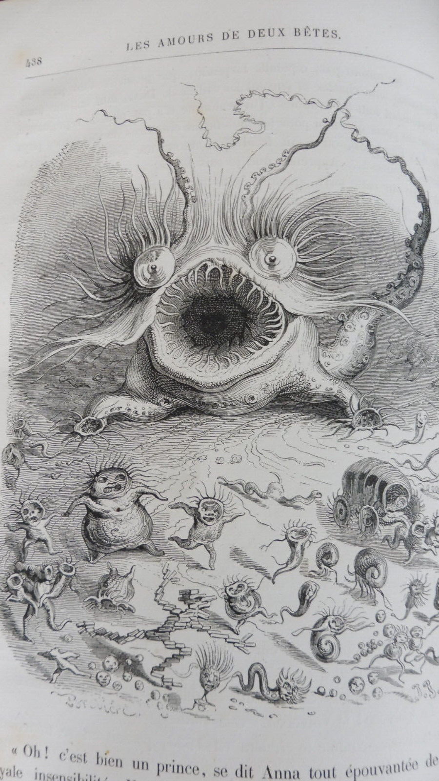 Vie privée et publique des animaux (Grandville) 1867