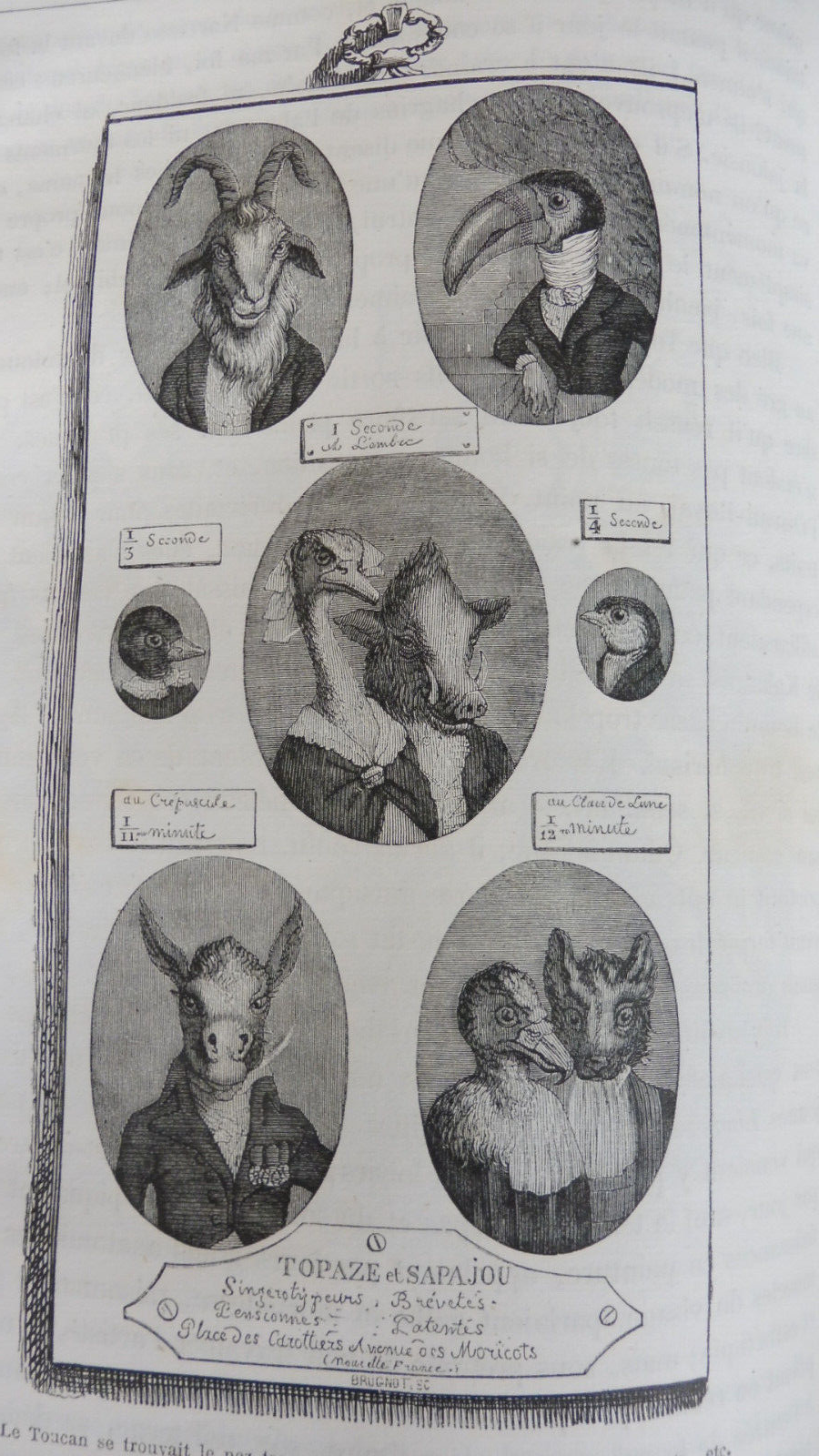 Vie privée et publique des animaux (Grandville) 1867