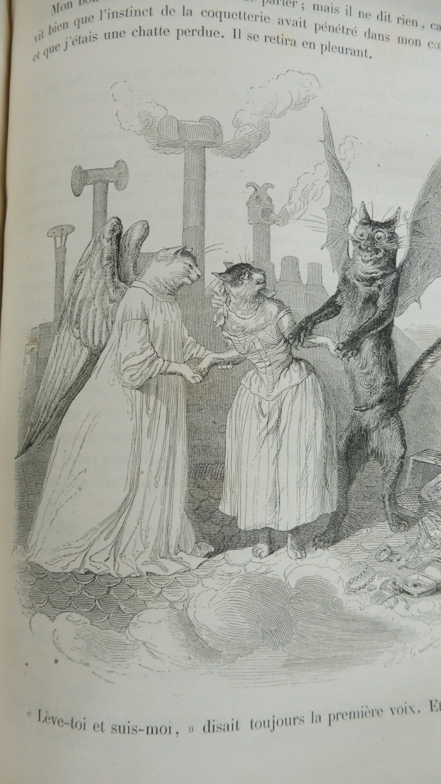 Vie privée et publique des animaux (Grandville) 1867