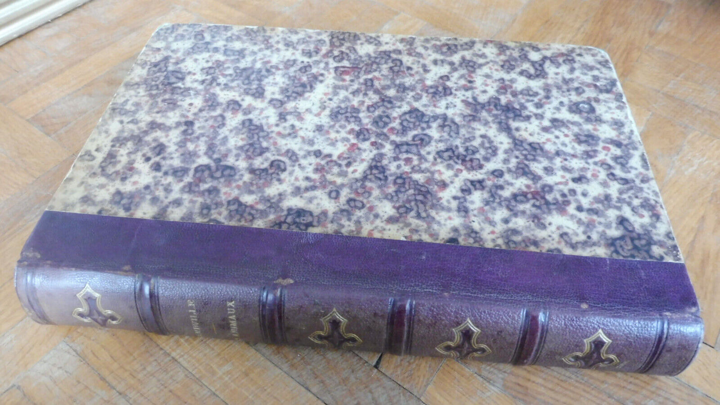 Vie privée et publique des animaux (Grandville) 1867