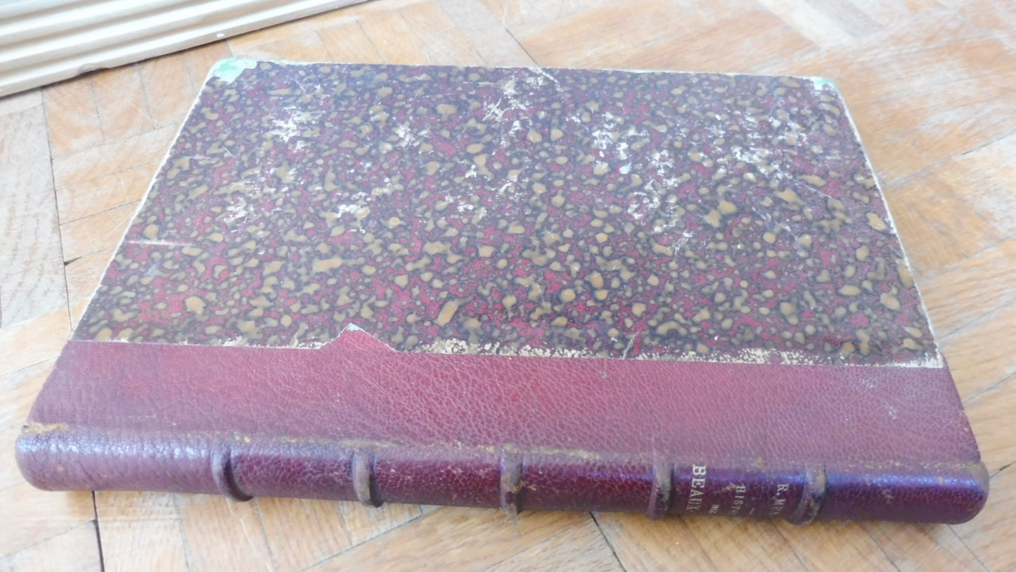 Histoire des beaux-arts (R. Ménard) 1875