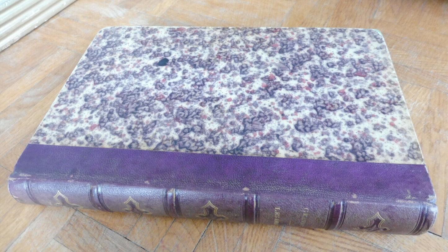Vie privée et publique des animaux (Grandville) 1867