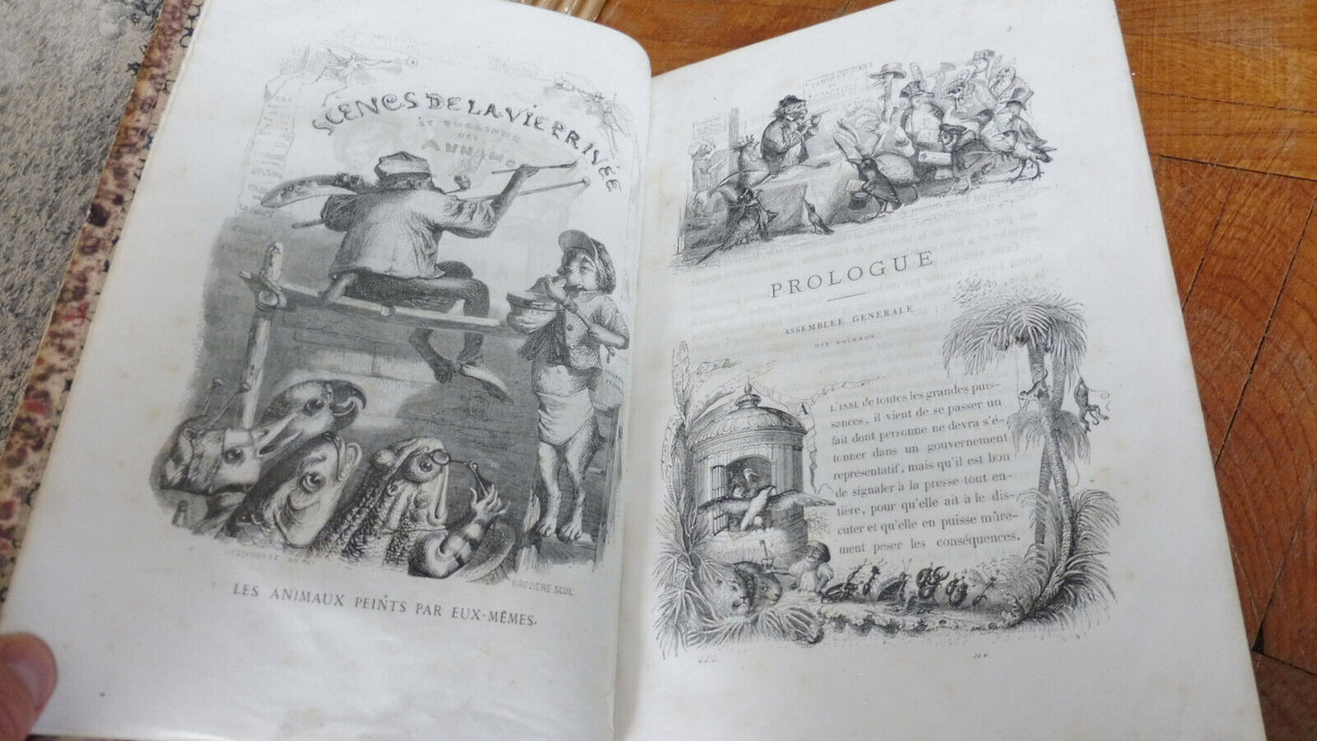 Vie privée et publique des animaux (Grandville) 1867