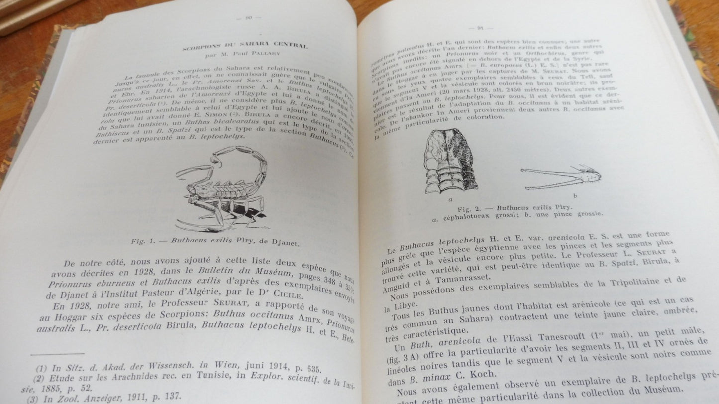 Etudes zoologiques sur le Sahara central (L.-G. Seurat) 1934