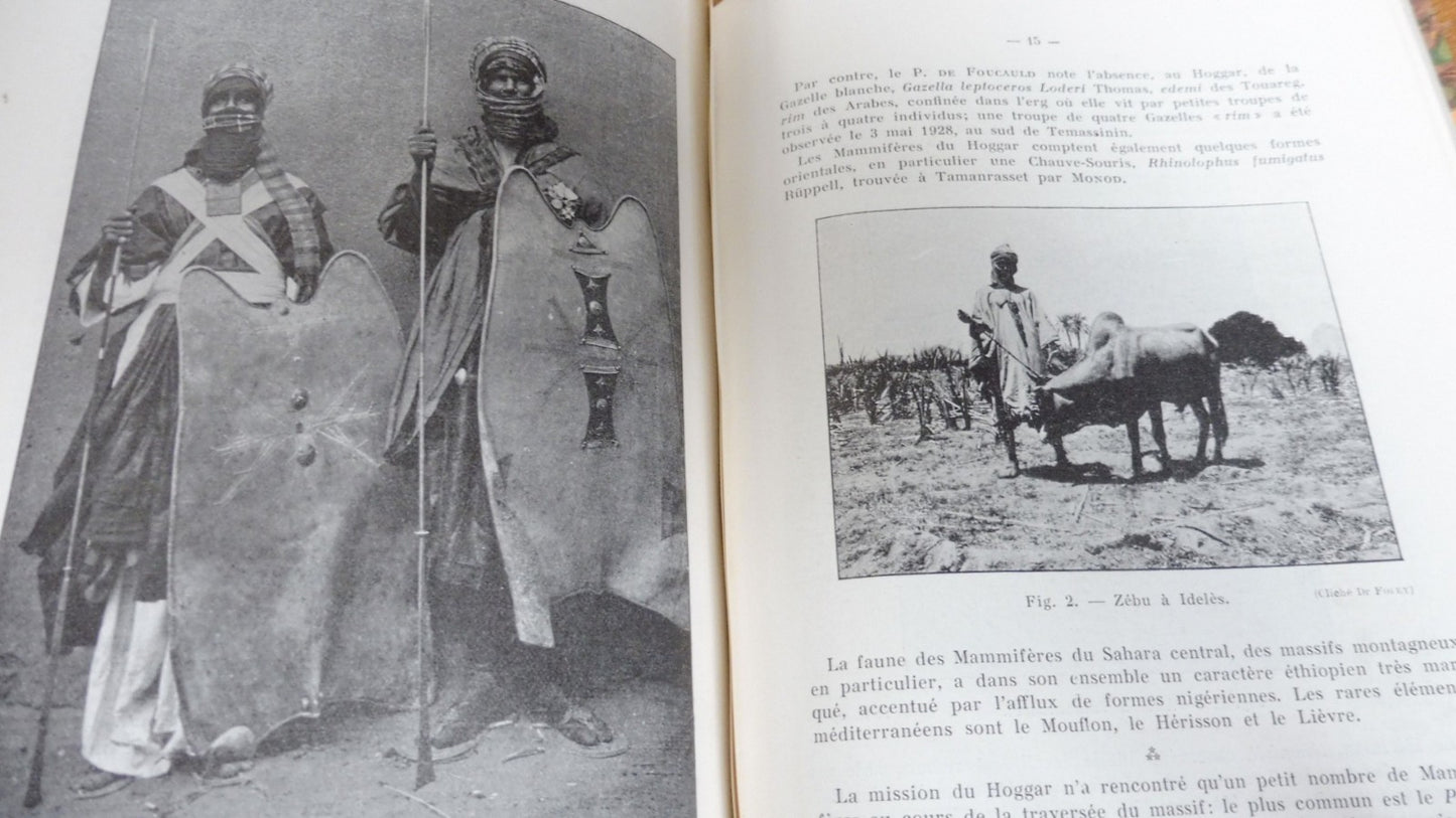 Etudes zoologiques sur le Sahara central (L.-G. Seurat) 1934